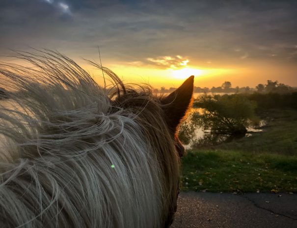 Ferien in Lüchow-Dannenberg (Wendland)